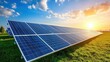 © starush - Solar panels on a field with the sun shining, AI