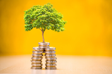 Stacking gold coin and tree with growing interest put on the wood  on the yellow background in the office, Saving money and loan for business investment concept.