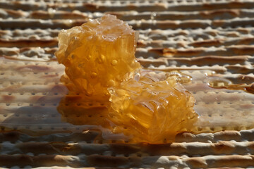 Jewish matzah with honey and honeycomb, close-up photo