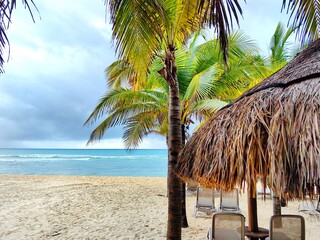 palmen am strand