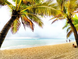 strand mit palmen