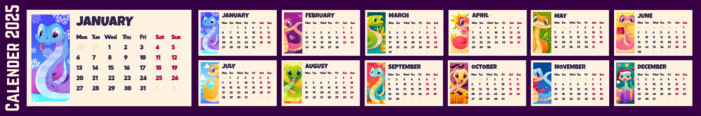 Wall Mural - Colorful Snake wall calendar 2025. Cute set with Monthly Calendars pages in horizontal view and different snakes for printing or for planner design. Vector cartoon template illustration