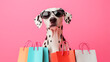 © adrianad - A stylish Dalmatian dog wearing sunglasses with shopping bags against a pink background.