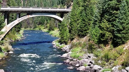 Wall Mural - Aerial view of Rainbow Bridge in Idaho forest