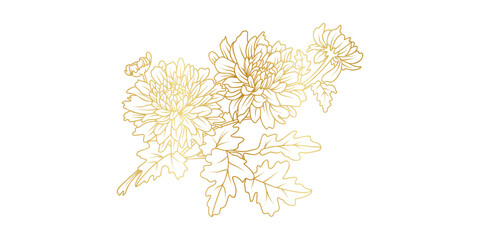 Wall Mural - Golden Chrysanthemum flowers line art isolated on white background. Luxury Chrysanthemum floral design elements for invitation, wedding, wallpaper, print template, vector illustration