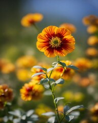 Sticker - yellow flowers in the garden