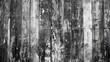 © Bijac - weathered wooden texture background rustic shabby chic style black and white