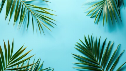 A blue background with palm leaves on it