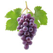 © BoOm - Fresh purple grape cluster with green leaves, perfect for healthy eating, desserts, or wine-making concepts. transparent background