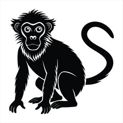 Wall Mural - monkey silhouette vector