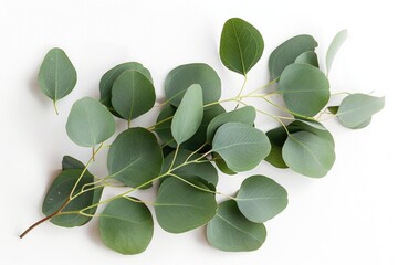 Canvas Print - A close-up shot of green leaves sitting on a white surface, great for backgrounds or textures