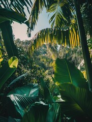 Poster - Lush Green Forest with Palm Trees