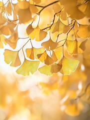 Poster -   A high-resolution image of a tree branch adorned with golden foliage against a backdrop of cerulean sky