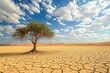 © Kitta - A lone tree stands defiant against a backdrop of cracked earth, a poignant symbol of life persisting in a parched desert.