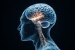 © Odin AI - A detailed visualization of a human brain with glowing nodes representing neural connections and brain activity, symbolizing neurological science, cognitive function, and advanced biological research