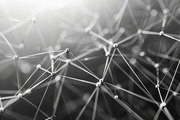 Poster - Interwoven lines and points create a sophisticated web, representing concepts of connectivity and complexity, capturing a striking visual in black and white.