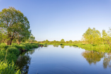 Gentle morning light reflects on the serene river as vibrant greenery lines the banks, creating a peaceful oasis in nature.