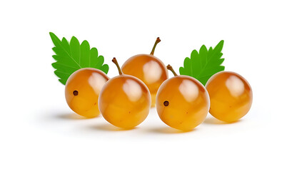 group ripe sweet gooseberries leaves svg white background