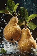 Canvas Print - A pair of pears falling into a body of water, great for food or nature themed illustrations