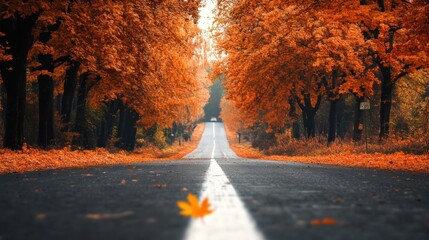 Poster - Autumn Road