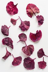 Poster - A simple table covered in vibrant red fall foliage