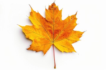 Aufkleber - A single yellow leaf sits on a white surface, providing a pop of color against the neutral background