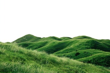 Poster - A serene natural landscape featuring a lush green hillside with dense grass, suitable for outdoor or nature-themed projects