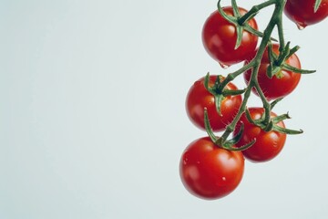 Poster - A cluster of ripe cherry tomatoes hanging from a tree branch, great for food and culinary themes
