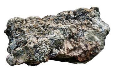 Poster - A piece of rock with visible mineral deposits, suitable for scientific or educational use