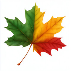 Wall Mural - A 3D realistic maple leaf with vibrant autumn colors on a white background