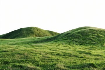 Poster - A pair of hills surrounded by lush green grass, ideal for a serene and peaceful atmosphere