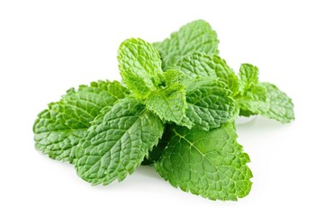 Poster - A bunch of fresh mint leaves arranged on a white surface, perfect for cooking or decorative purposes