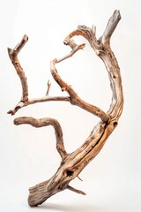 Poster - A piece of driftwood sits on a table, perfect for rustic decor or as a unique centerpiece