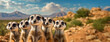 © Igor Tichonow - Group of meerkats stands alert in the desert, with a blue sky and mountains in the background, symbolizing community and vigilance.
