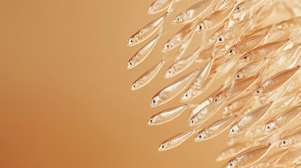 Wall Mural - a group of small anchovies arranged in a fan pattern against an isolated warm-toned background