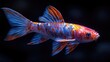 © Alienmarsh - Colorful Koi Fish in Dark Water