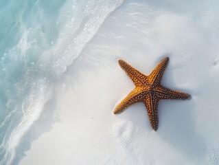 Sticker - starfish on white sand beach blue ocean - ai