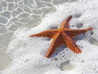 Wall Mural - starfish on white sand beach blue ocean - ai