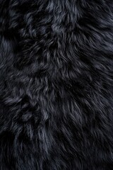 Wall Mural - An abstract background with a black fur texture creates a soft and tactile visual effect.