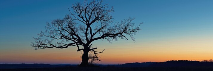 Wall Mural - Silhouette of a leafless tree set against a twilight sky in an autumn scene with other trees.