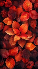 Sticker - Autumn leaves in red hues