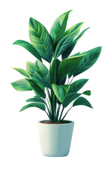 Isometric 3D potted plant on white background