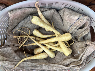 Wall Mural - Group of parsnip in a basket