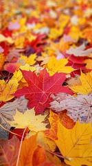 Wall Mural - a pile of yellow and red leaves