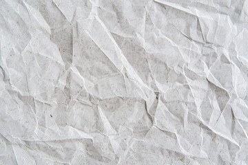 Wall Mural - Panorama of Gray white carton paper texture and seamless background