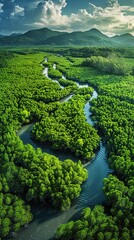 Wall Mural - A lush green forest with a river running through it