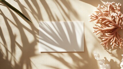 Wall Mural - Palm Leaf Shadow With Blank Cards