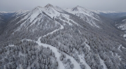 Poster - snow covered mountains