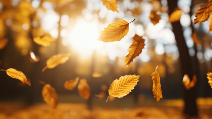 Poster - Golden leaves swirling in the wind with blurred sunlit trees in the distance 