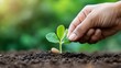 © Preecha - Hands planting a seed in the earth, symbolizing growth and the start of something new